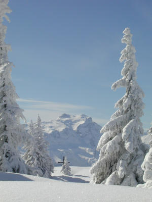  Helisnowboarding/Heliskiing in Kanada, British Columbia